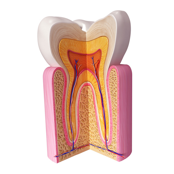 holistic root canal alternatives